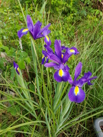 Celle-là, je l’adore Celle-là, je l’adore